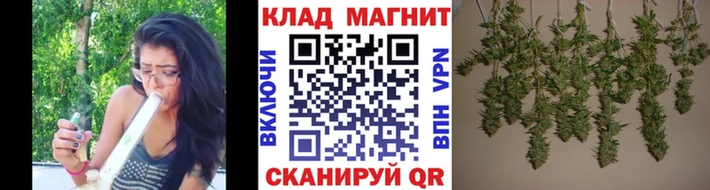 Галлюциногенные грибы Светлоград