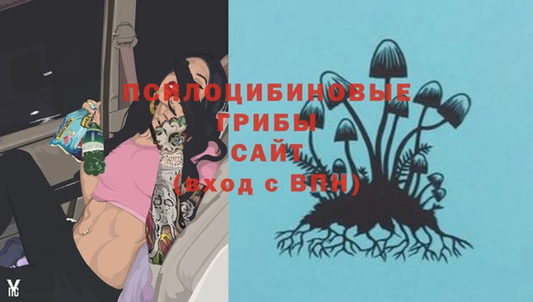 a pvp Алексин