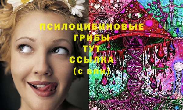Альфа ПВП Алзамай